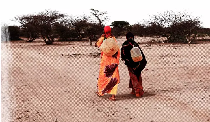 The New Humanitarian